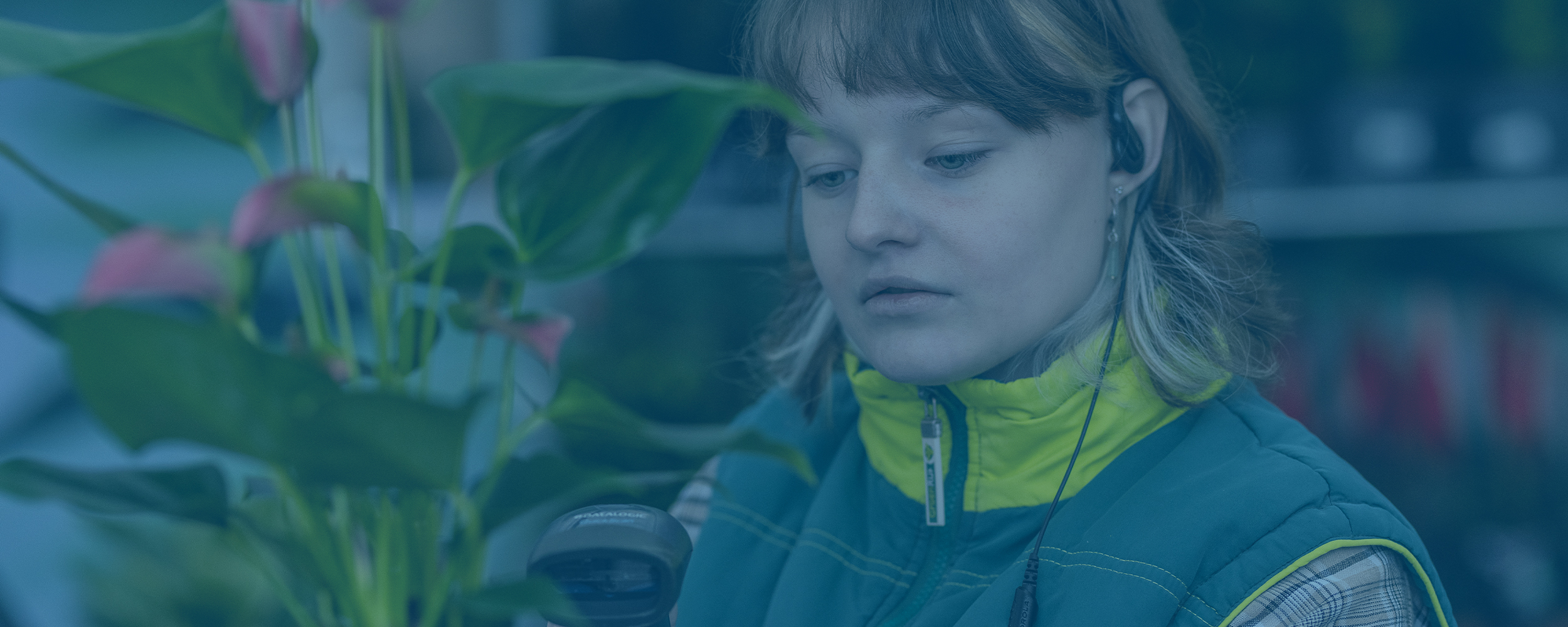 motorola portofoons en oortjes